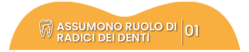 Impianti dentali assumono ruolo di radici dei denti